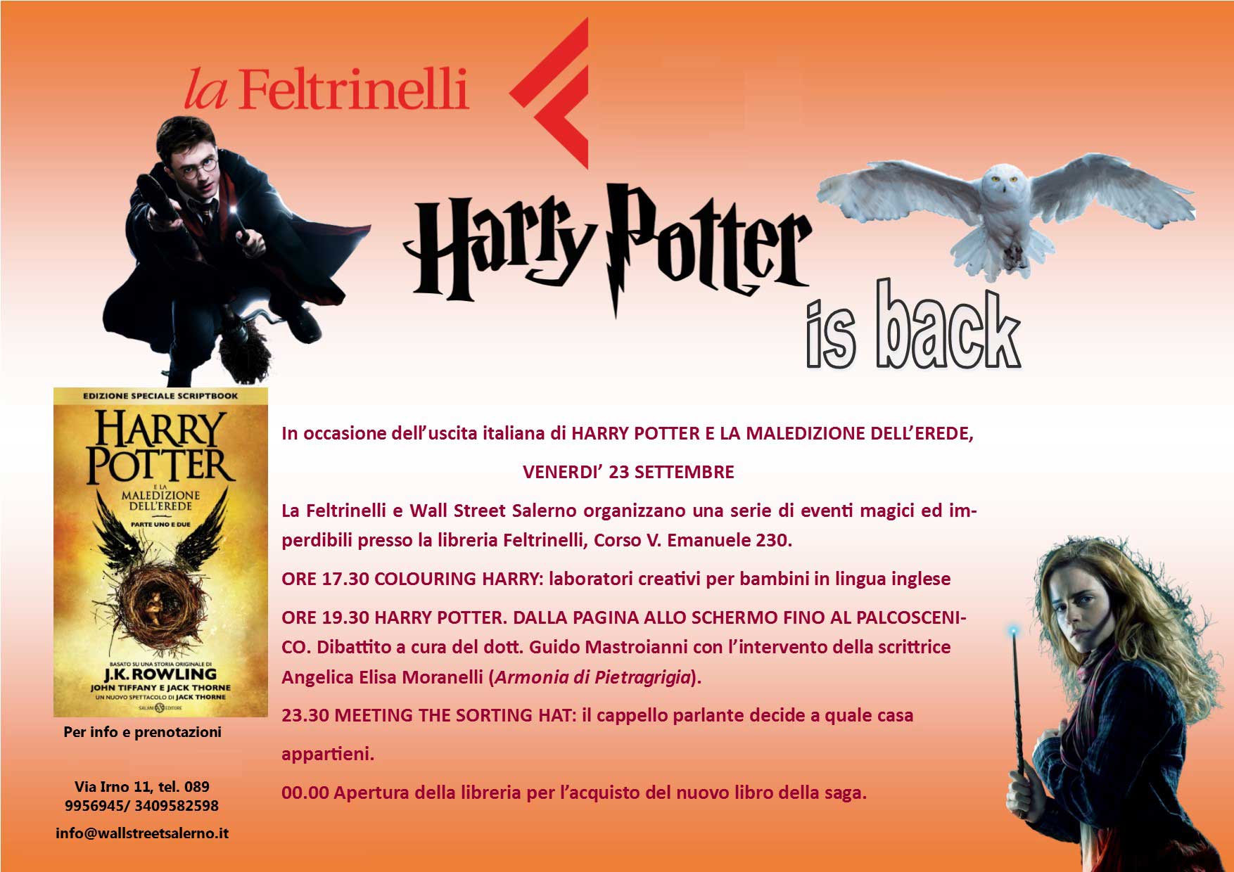 Harry Potter British School International Salerno